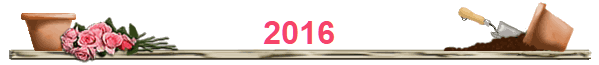 2016