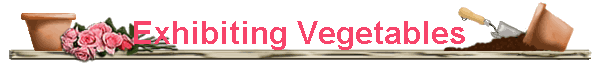 Exhibiting Vegetables