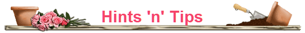 Hints 'n' Tips