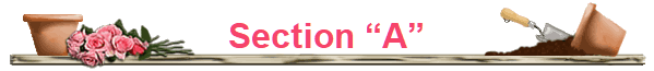 Section �A�