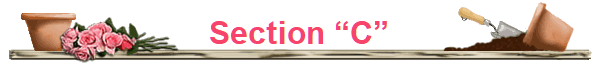 Section �C�