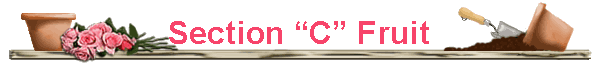 Section �C� Fruit