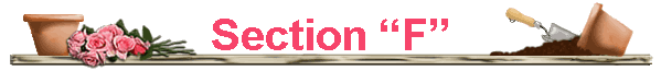 Section �F�