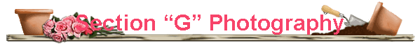 Section �G� Photography