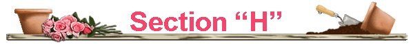 Section �H�