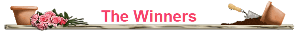 The Winners